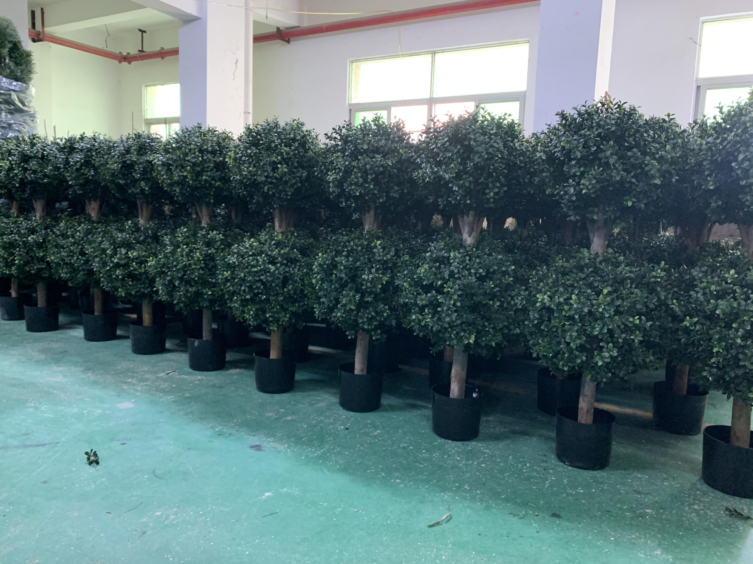 BLONYUVC boxwood double-ball topiary indoor decor complements living rooms and entryways.