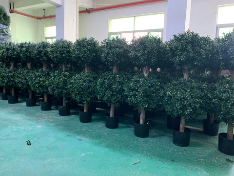 BLONYUVC boxwood double-ball topiary indoor decor complements living rooms and entryways.
