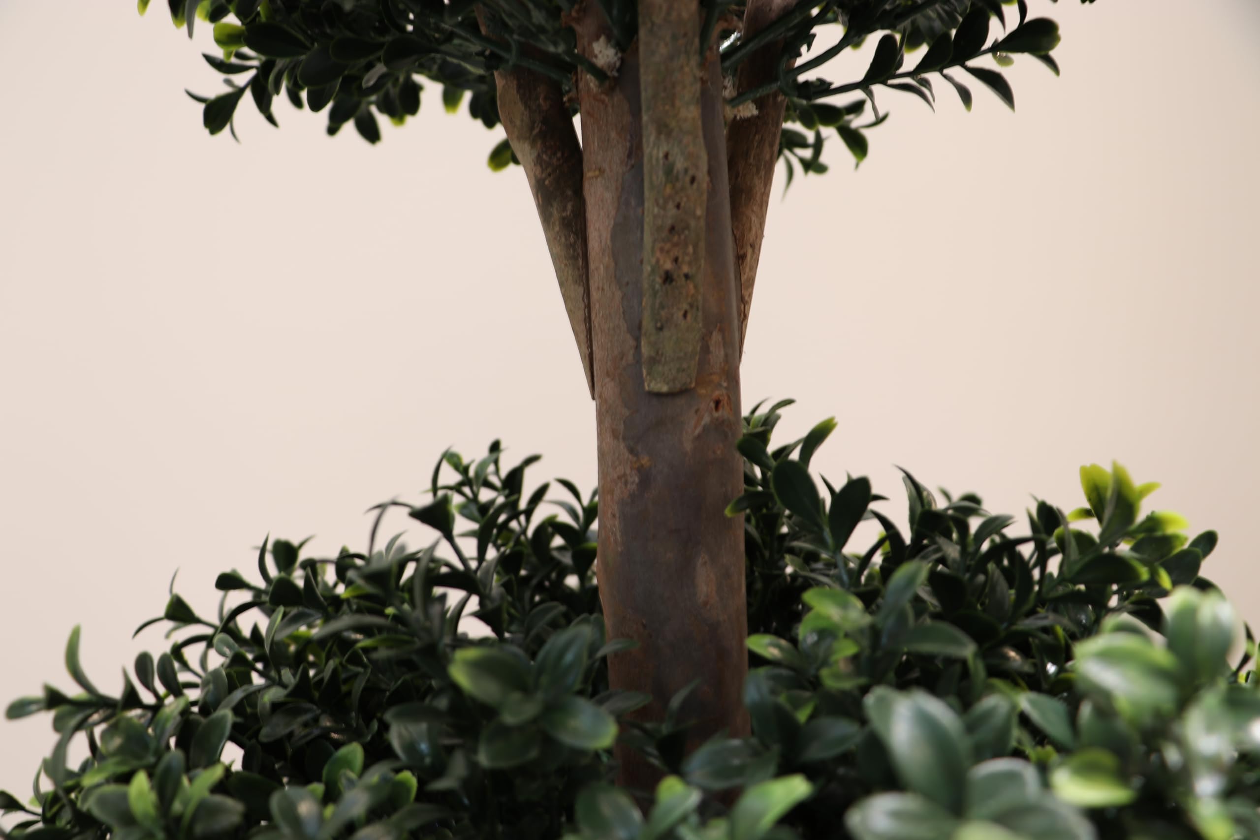 BLONYUVC boxwood double-ball topiary porch setup demonstrates easy placement for curb appeal.