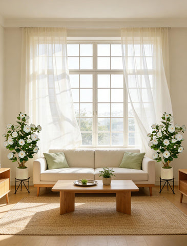 BLOSMON gift-ready housewarming decor symbolizing growth and renewal.