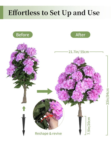 BLOSMON pink hydrangea heads detail ideal for container gardens