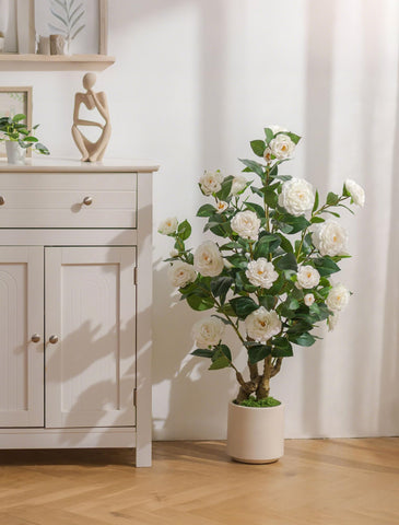 BLOSMON two trees in pots for living room decor and inviting greenery.