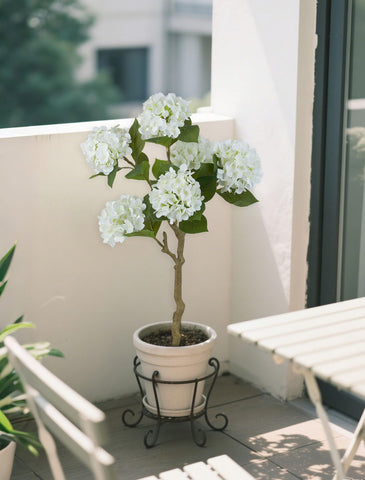 BLOSMON White Hydrangea Tree enhancing an entryway with stable base.
