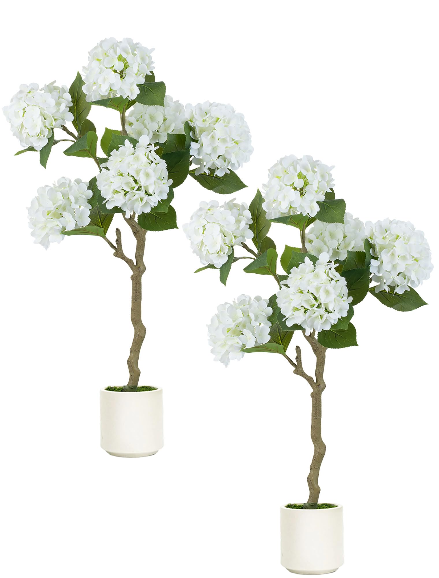BLOSMON White Hydrangea Tree on a front porch with lush, low-maintenance decor.