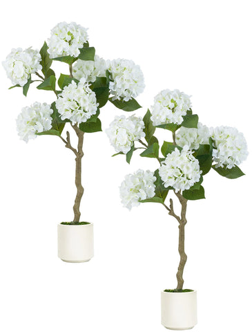 BLOSMON White Hydrangea Tree on a front porch with lush, low-maintenance decor.