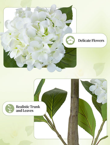 BLOSMON White Hydrangea Tree brightening a garden corner with durable blooms.