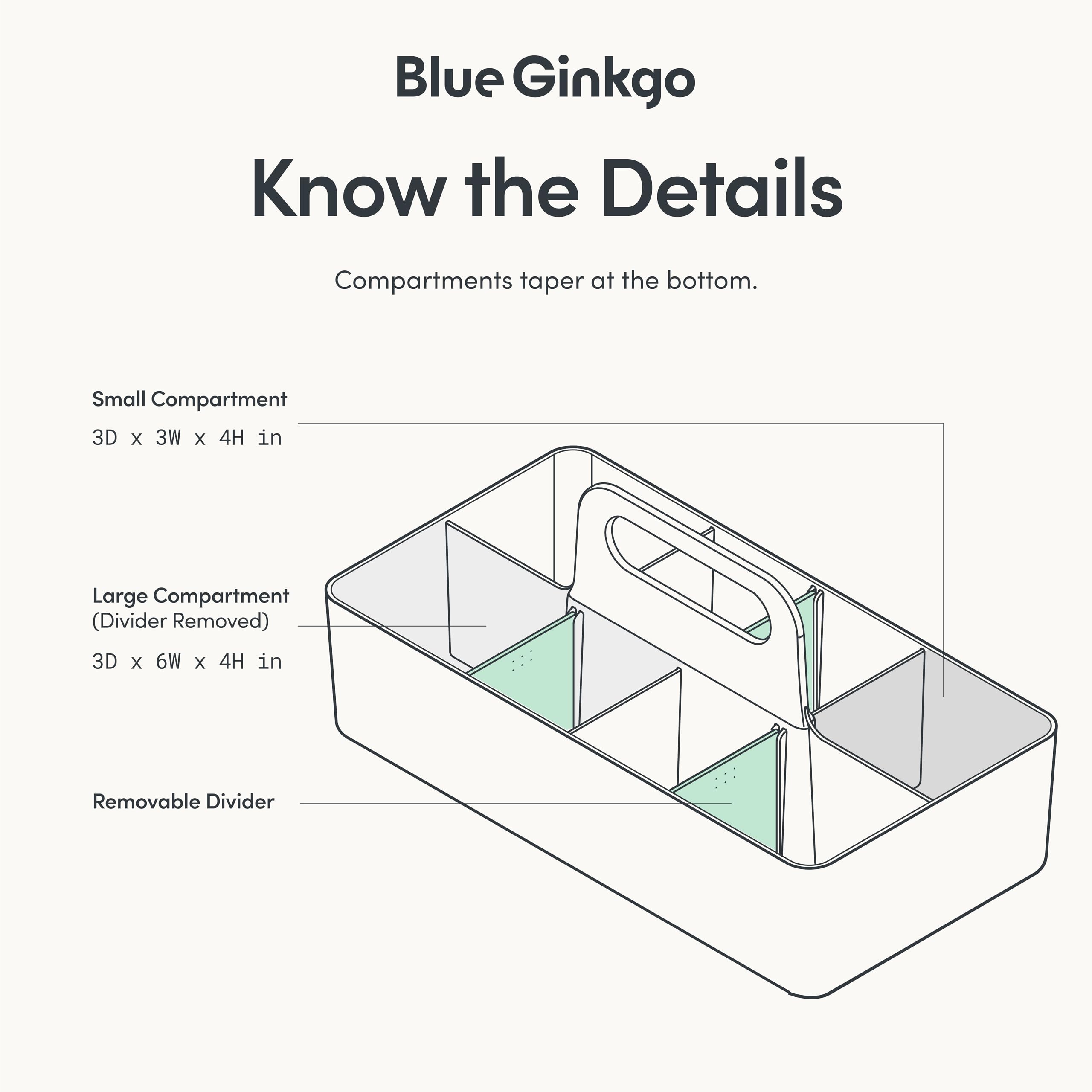 BLUE GINKGO caddy with three removable dividers for flexible organization.