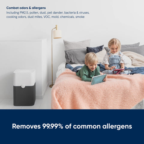 Blueair 211+ CADR 350 for dust, pollen, and smoke performance.