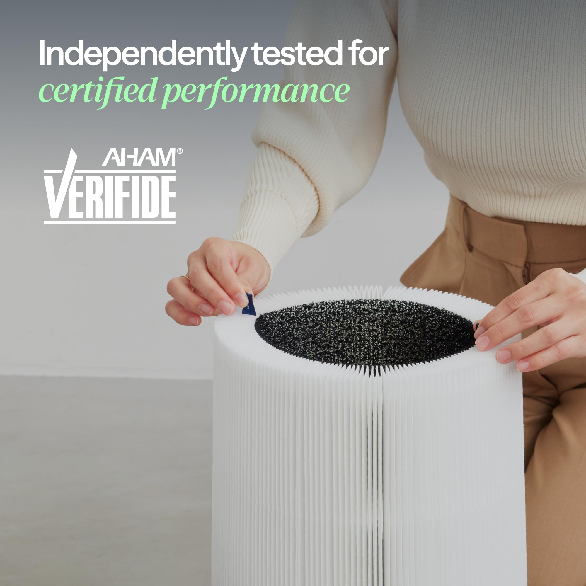 BLUEAIR filter label confirms compatibility and 9-month replacement guidance.