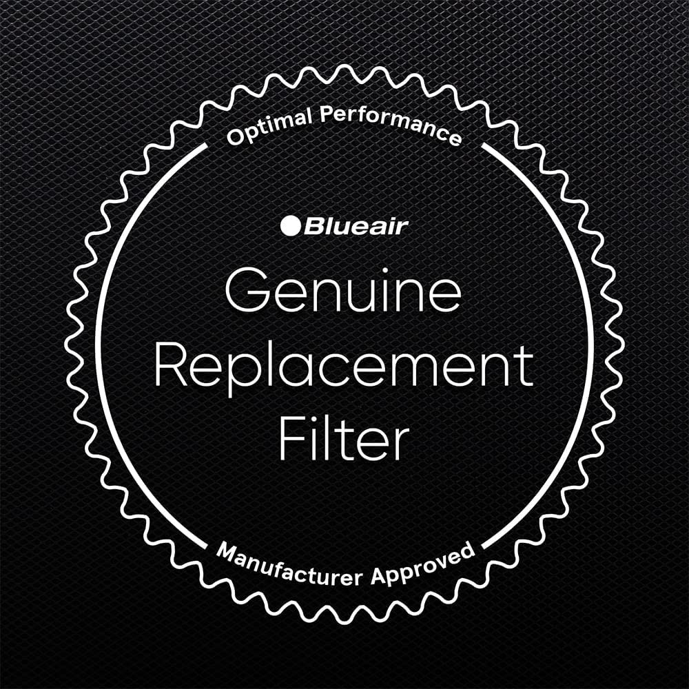 Blueair long-life replacement shows 6 to 12 months under typical use.