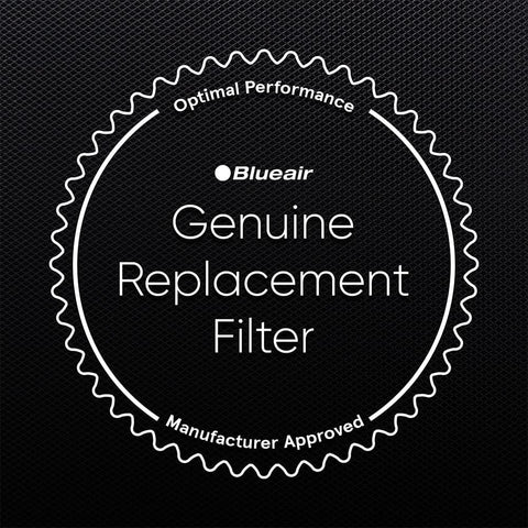 Blueair long-life replacement shows 6 to 12 months under typical use.