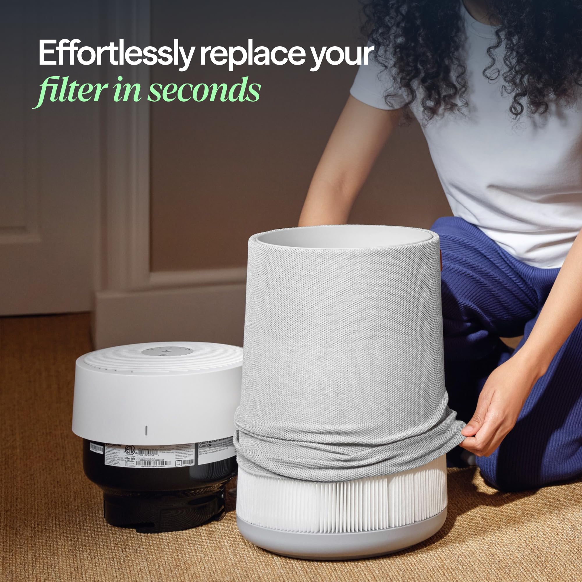 Blueair filter capturing pet dander and pollen for allergy-friendly air.