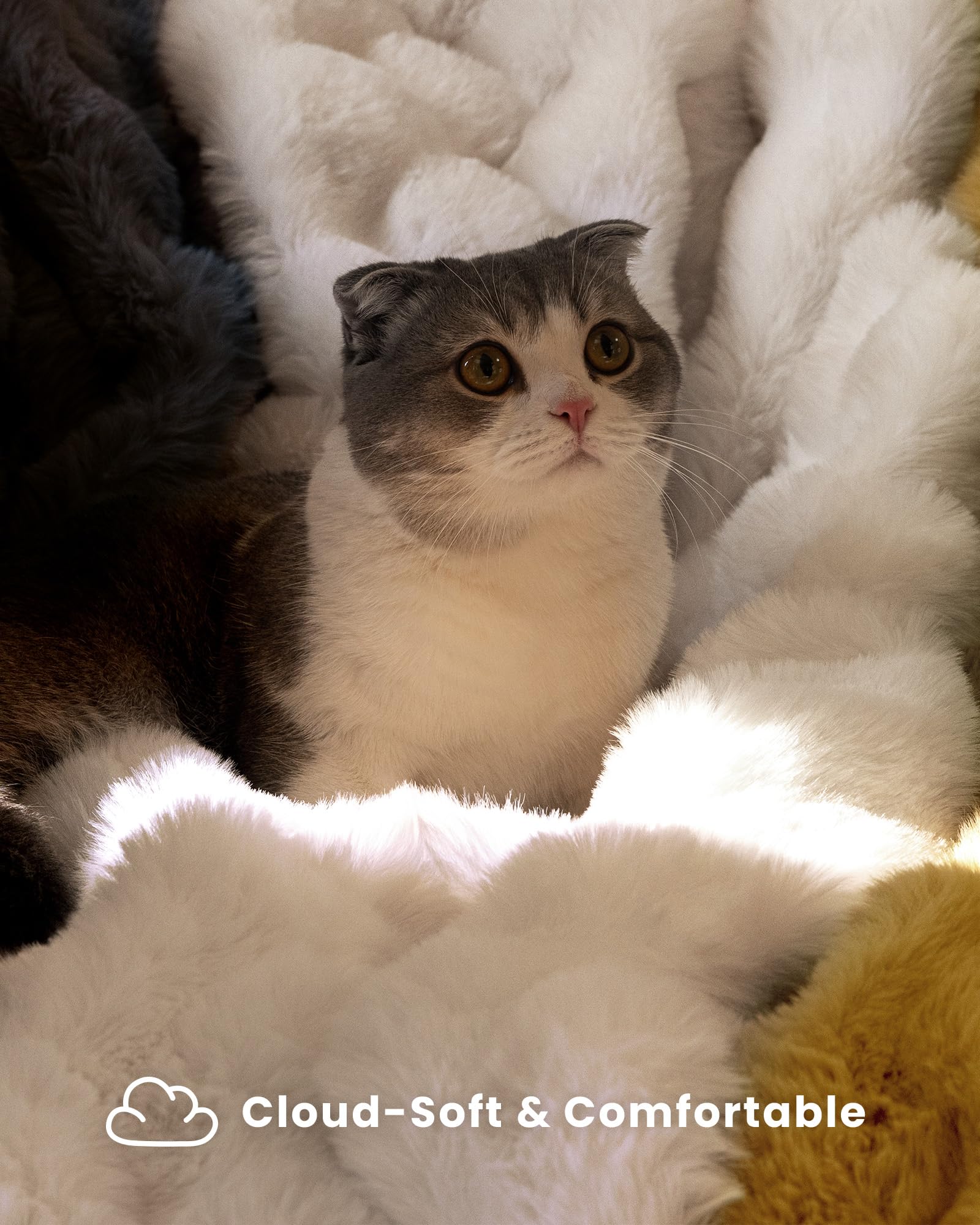 Blunique crystal-soft short plush reverse offers a silky smooth feel.