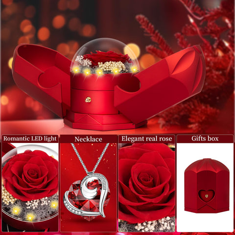 BNWXOY preserved rose palace box with lighting enhances display