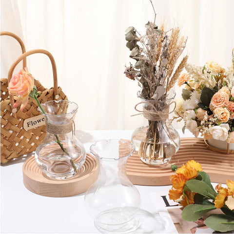 Bokon hyacinth bulb propagation vase supports bulb displays with stable design.