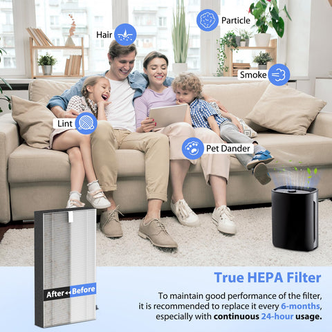 Borgodf F1 filter with tool-free installation demonstration.