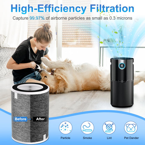 Borgodf multi-layer filtration maintains purifier performance with a cost-effective two-pack