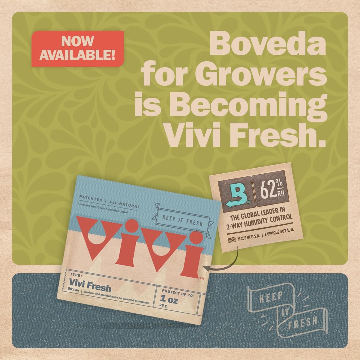 Boveda 58% pack placed inside an airtight container to regulate humidity