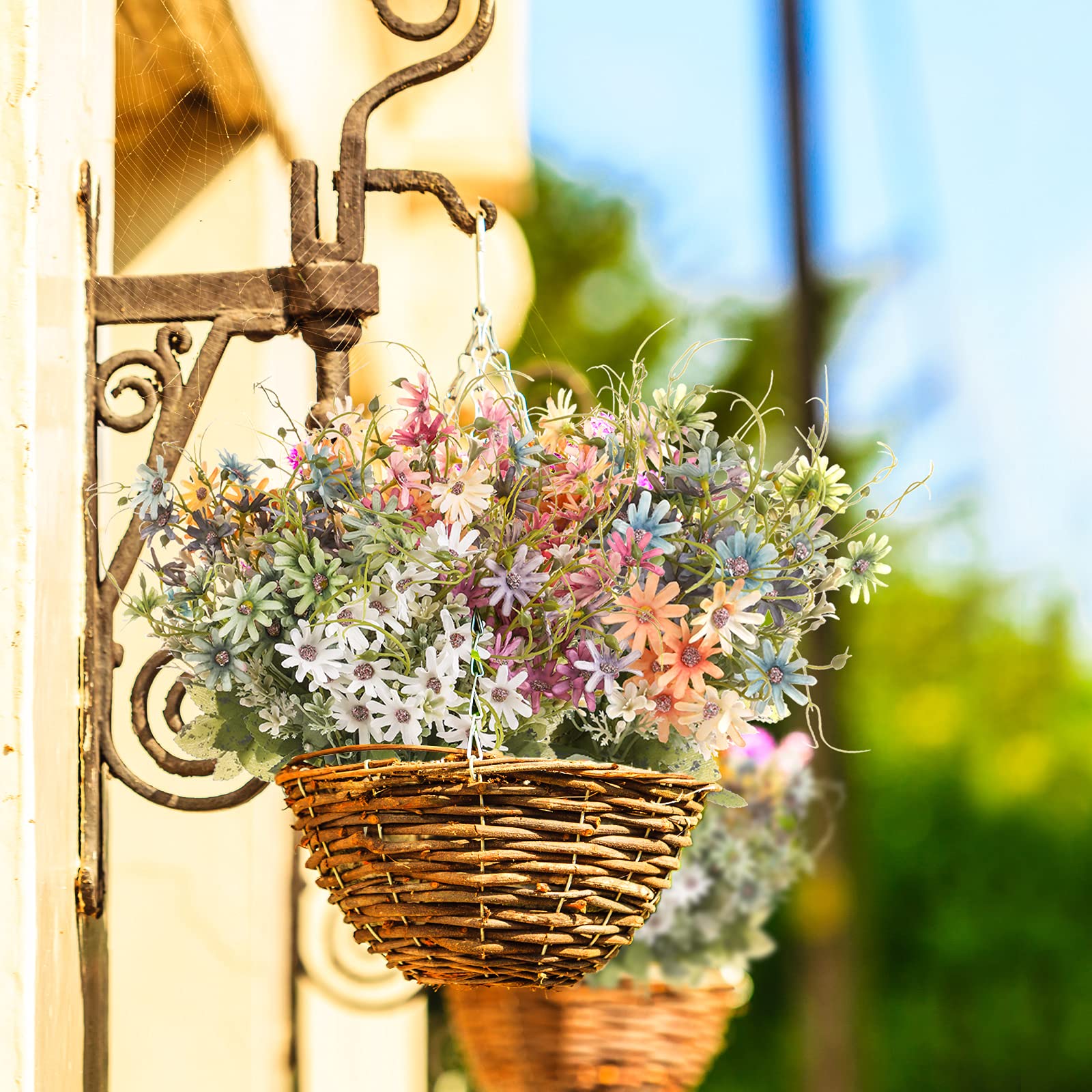Bovvered daisies in planters window boxes or wedding decor