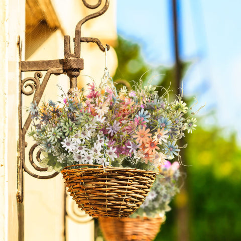 Bovvered daisies in planters window boxes or wedding decor