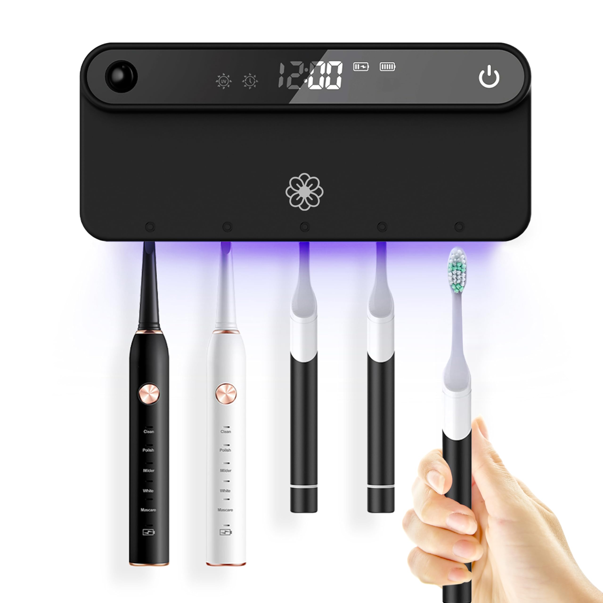 Bower and Bloom Bloom toothbrush sanitizer on wall mount keeps brushes clean and organized