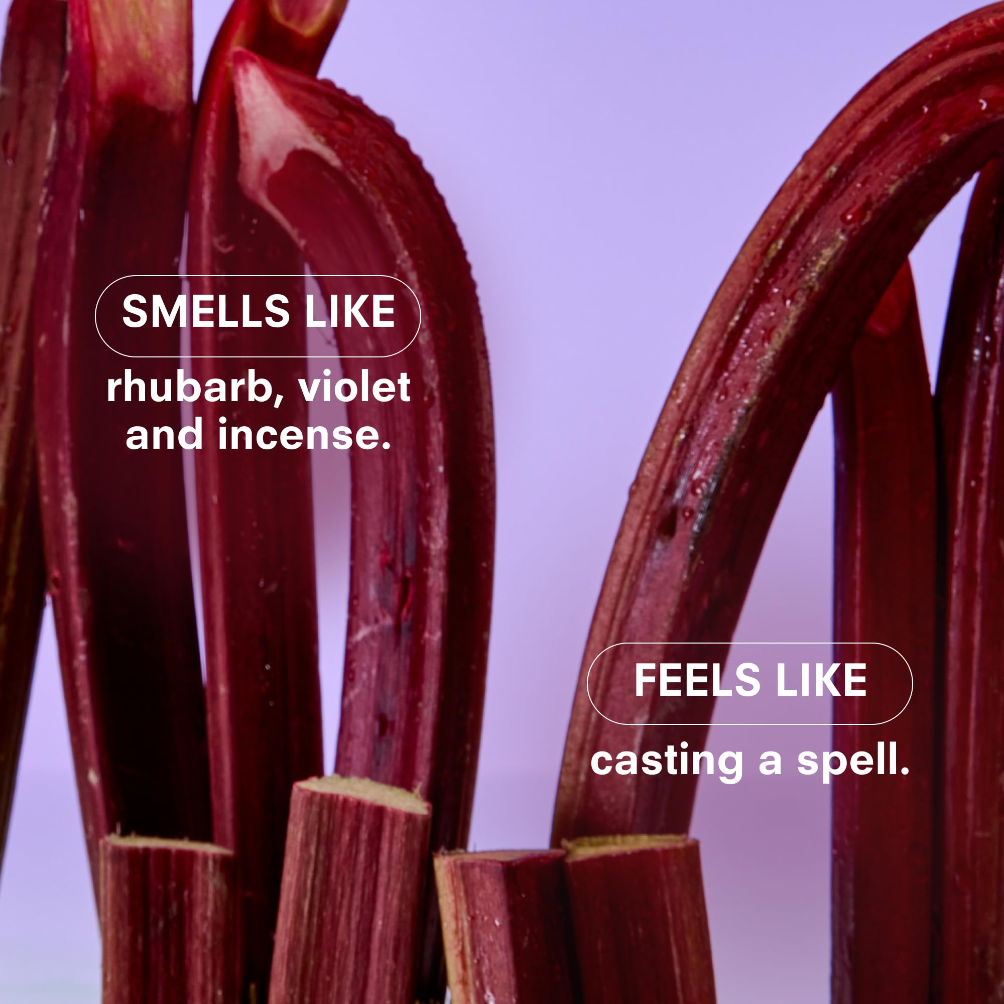 Gift-ready packaging and refined design of Violet Ends candle
