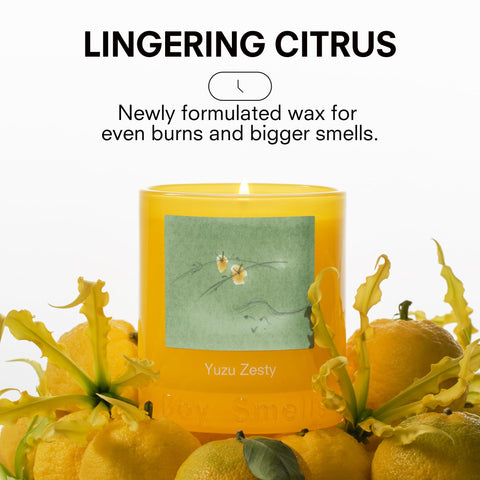 Boy Smells Yuzu Zesty candle cutaway highlights amber musk notes.