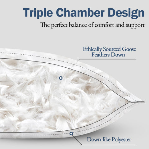 BPC pillow three-chamber fill demonstrates balanced support and plush feel