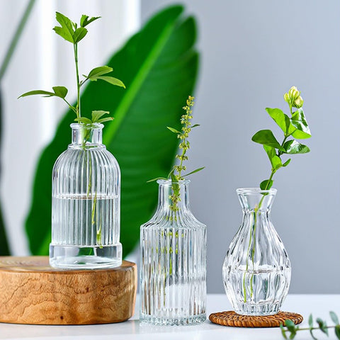 Brajttt thick-glass vase with vintage texture enhances light and shadow.