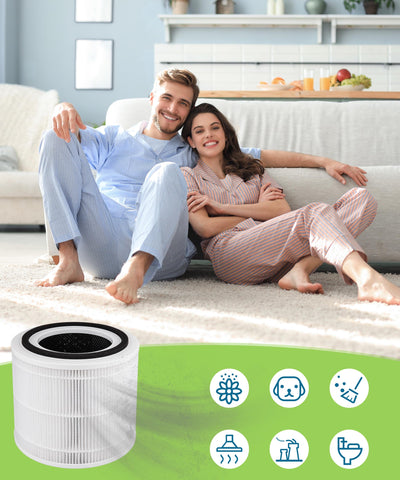 Breshair activated carbon filter reduces odors for fresher indoor air
