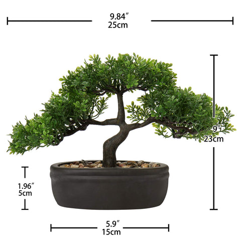 Briful bonsai on bathroom shelf adds fresh decor