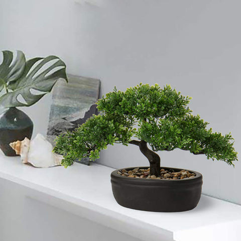 Briful bonsai on desk creates a calm, focused workspace