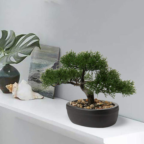 Briful small bonsai on desk provides a tranquil focal point for office spaces.