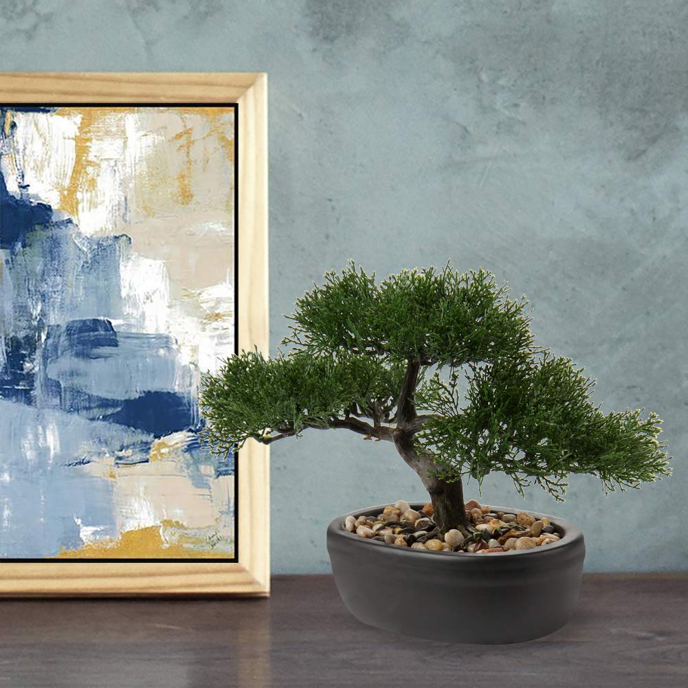 Briful bonsai tree on office desk creates zen ambiance and charm.