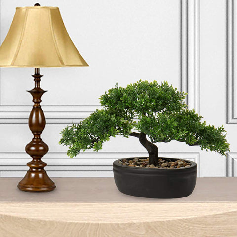 Briful bonsai on living room corner adds balanced greenery