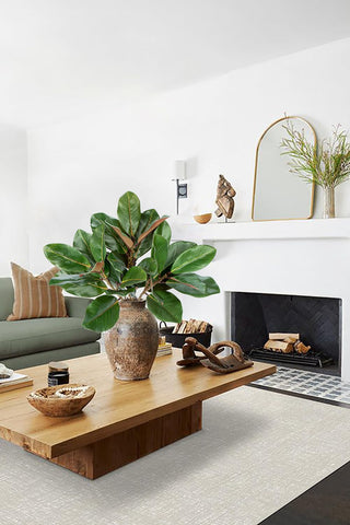 Briful evergreen leaves stay vibrant without watering or sunlight.