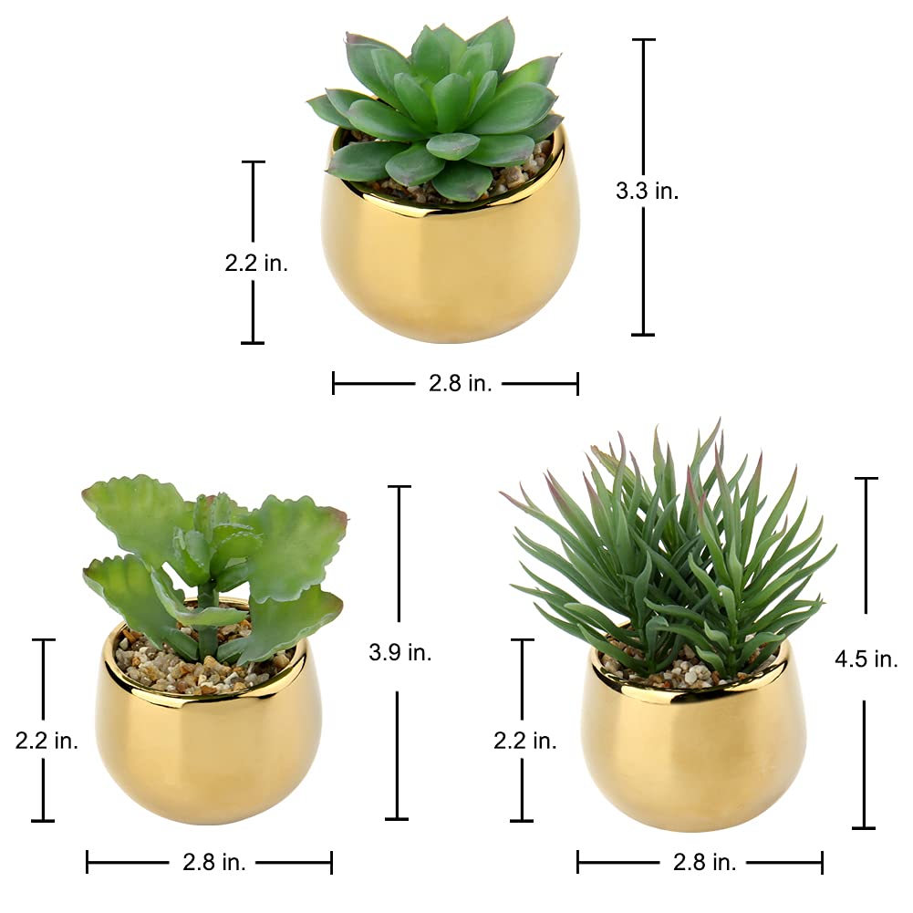 Briful faux succulents on a desk setup for easy decor
