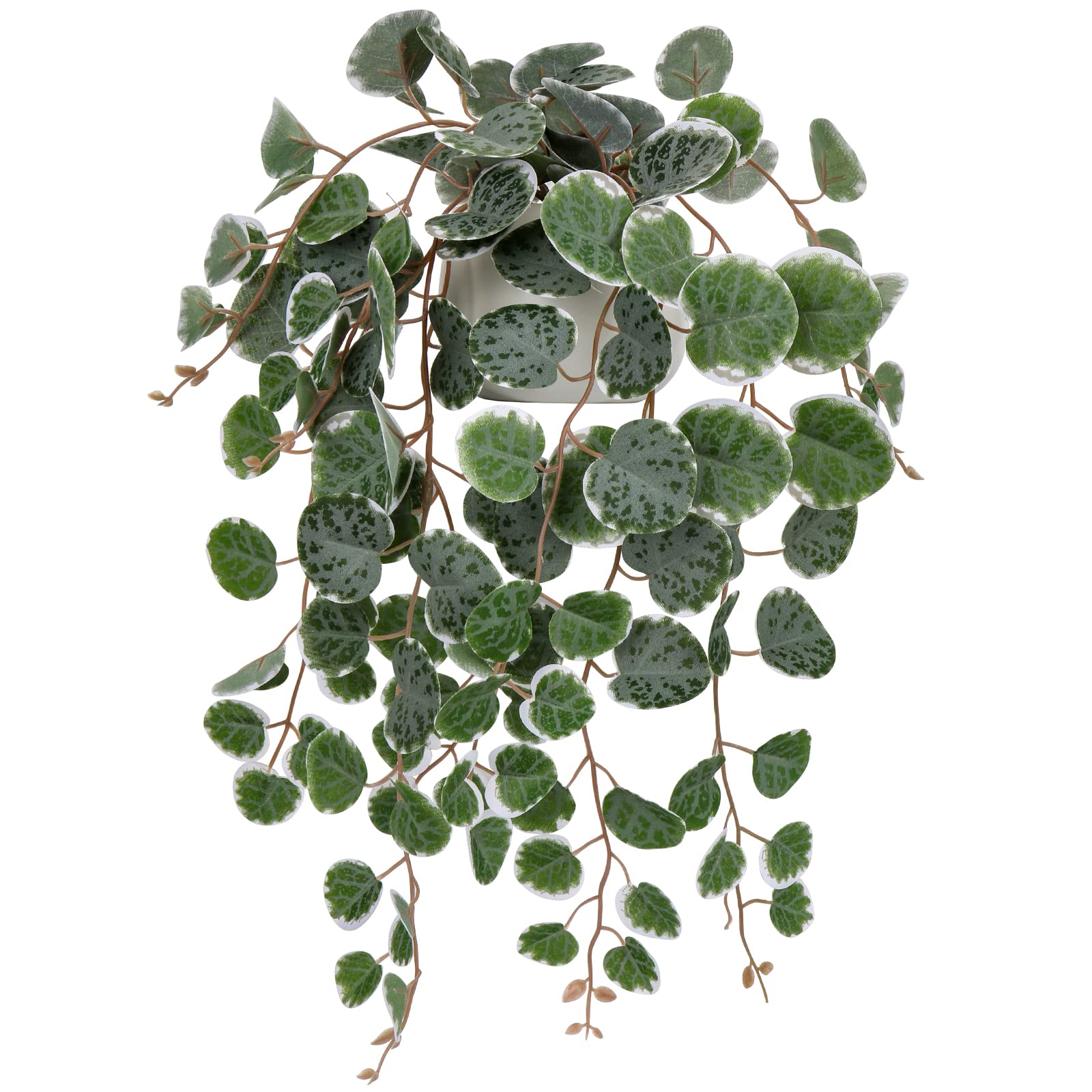Briful gift-ready artificial string of hearts plant for thoughtful decor