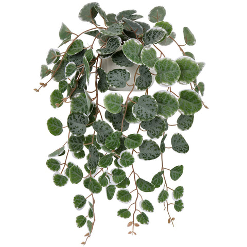 Briful gift-ready artificial string of hearts plant for thoughtful decor