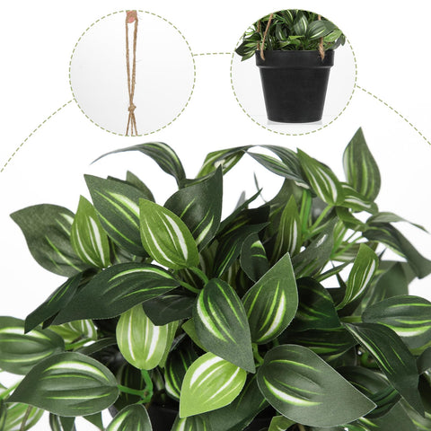 Briful hanging plant on macrame holder enhances boho style and green ambience.