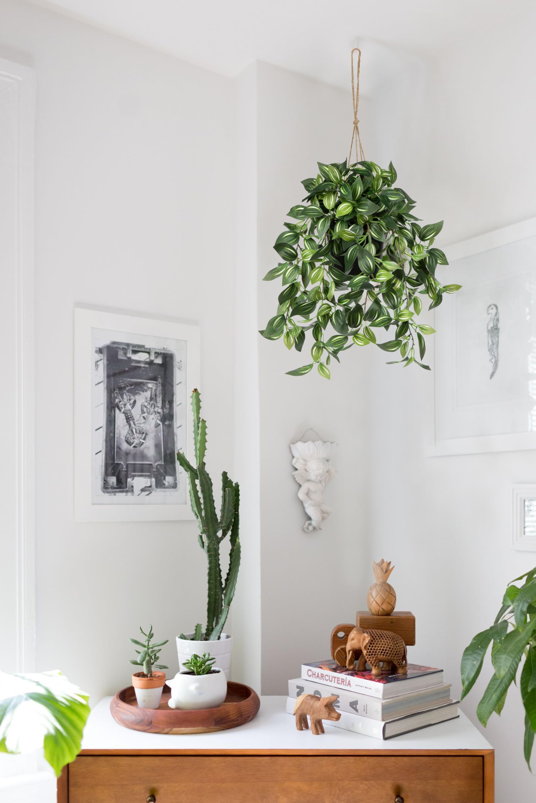 Briful indoor-outdoor greenery accent suits balconies, patios, or living spaces with ease.