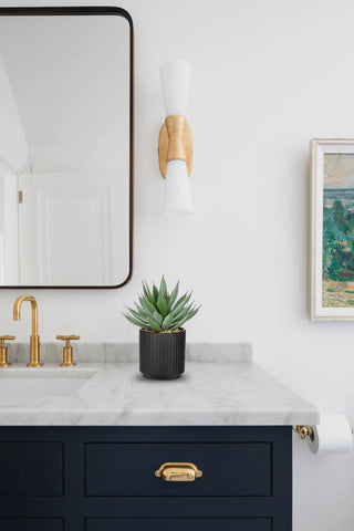 Briful realistic succulents suit kitchen counters and entryway decor.