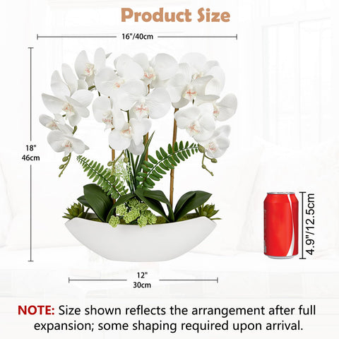 Briful ceramic boat vase showcasing elegant orchid display.