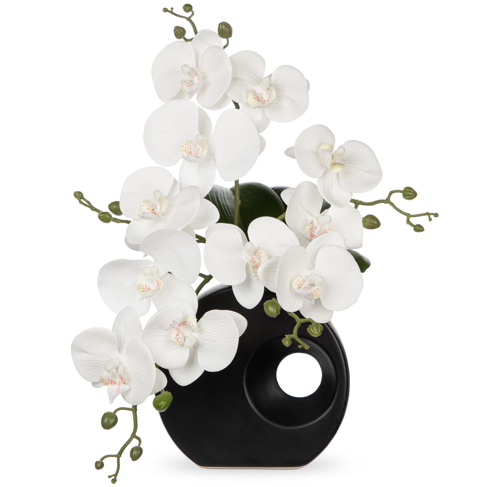 Briful orchid decor for home or office adds timeless charm with low maintenance.