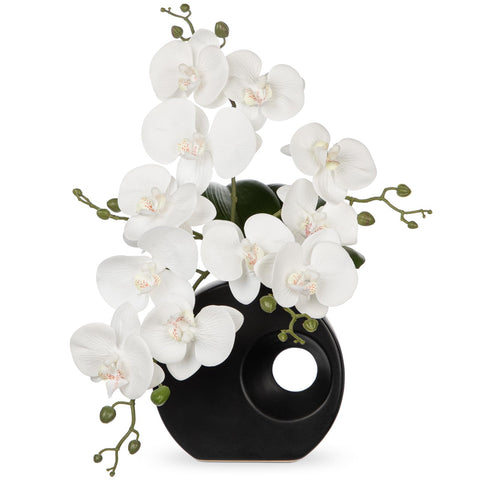 Briful orchid decor for home or office adds timeless charm with low maintenance.