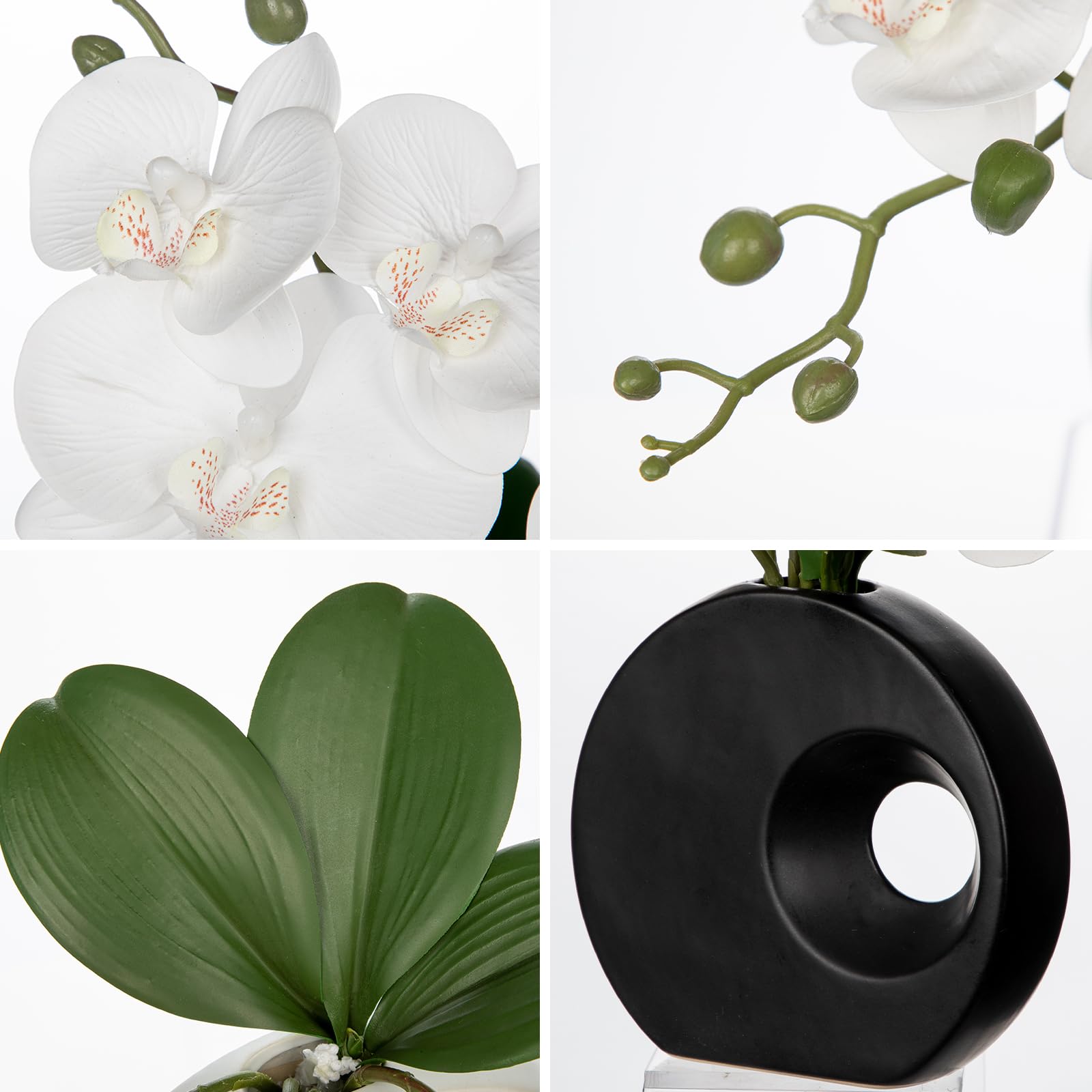 Briful orchid in a modern white ceramic vase design complements contemporary interiors.