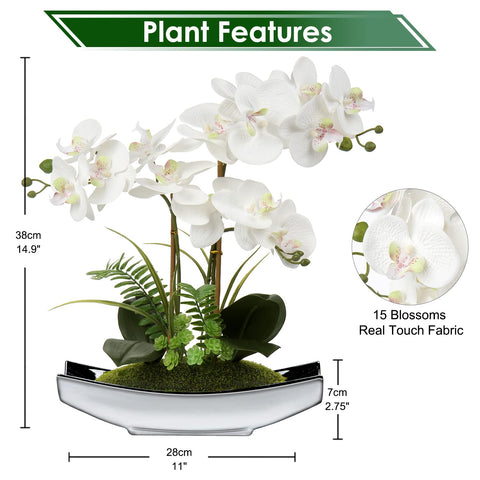 Briful Orchids silver pot detail highlights modern, low-maintenance decor.