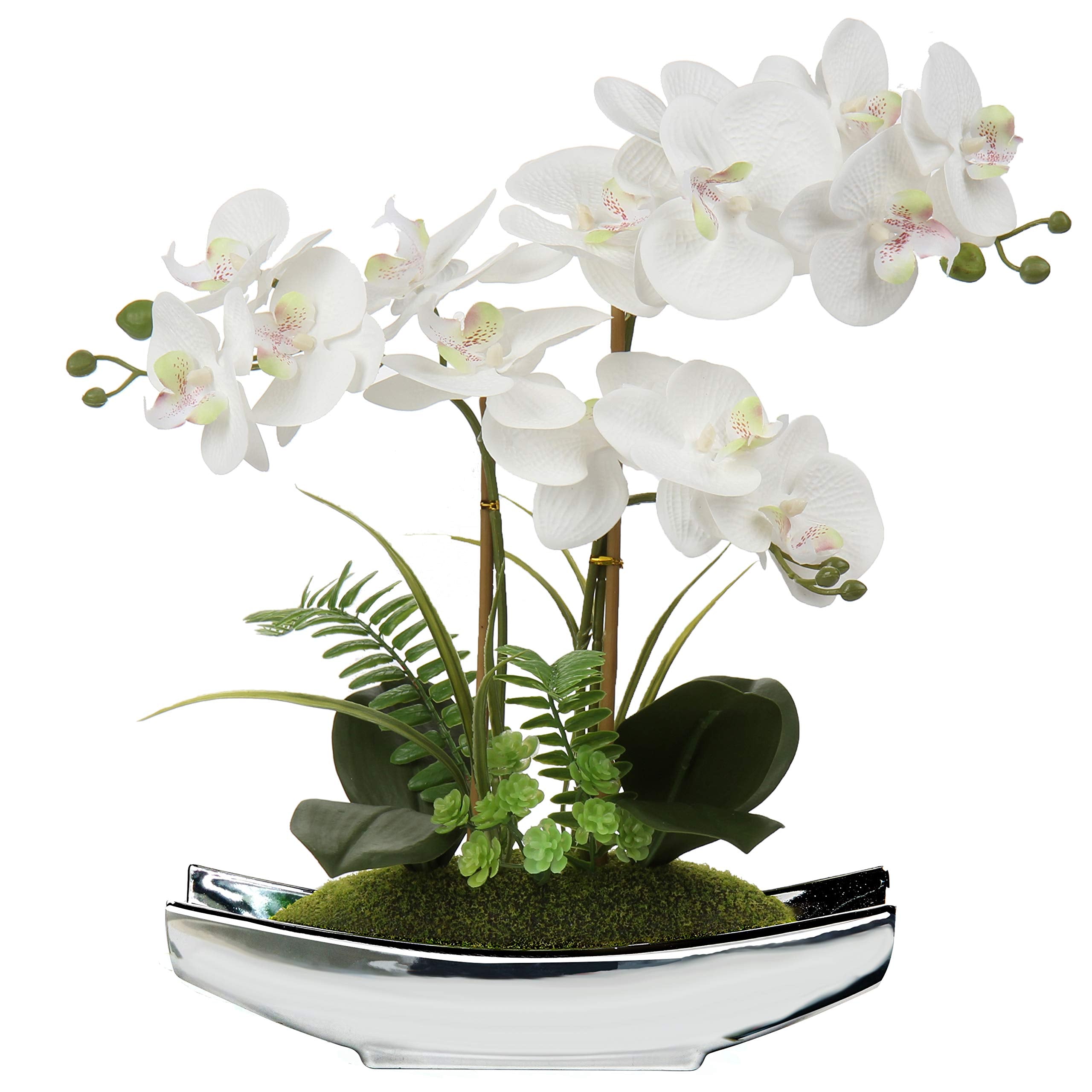 Briful Orchids white Phalaenopsis in silver pot for lifelike elegance.