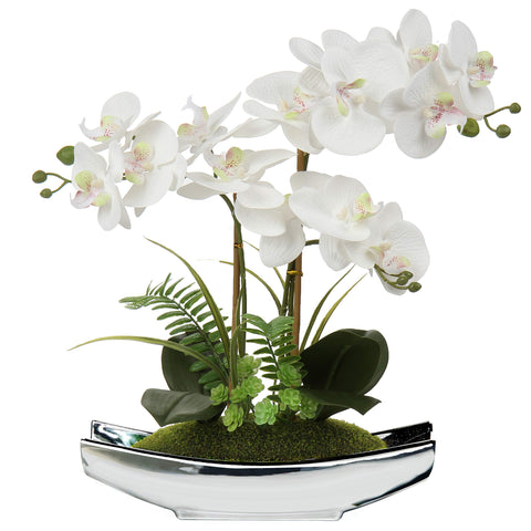 Briful Orchids white Phalaenopsis in silver pot for lifelike elegance.