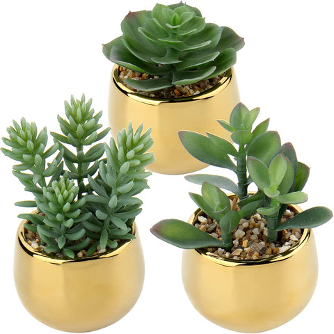 Briful small artificial succulents with gold ceramic pots add elegant greenery to a room.